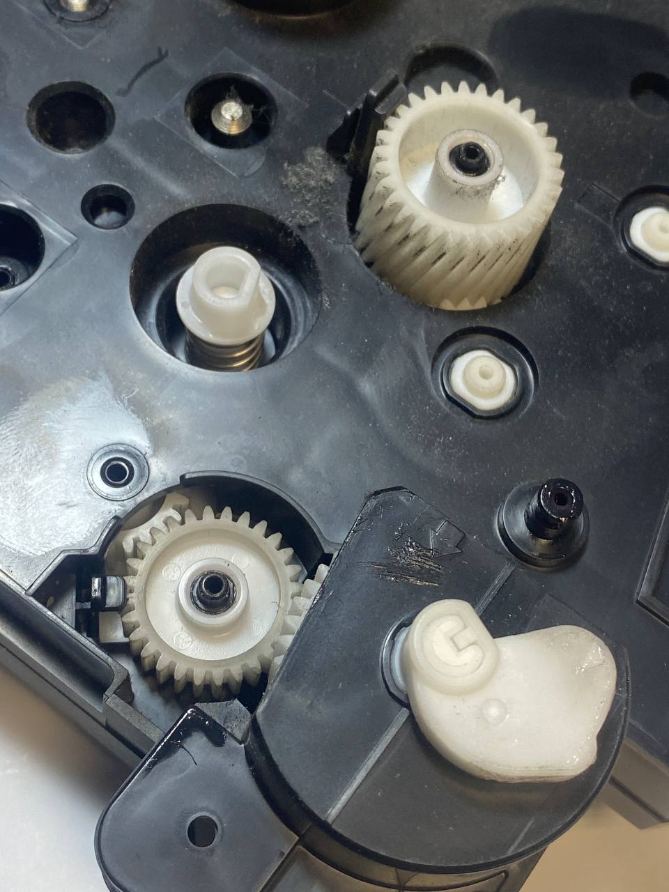 photo_2025-08-20_11-57-51