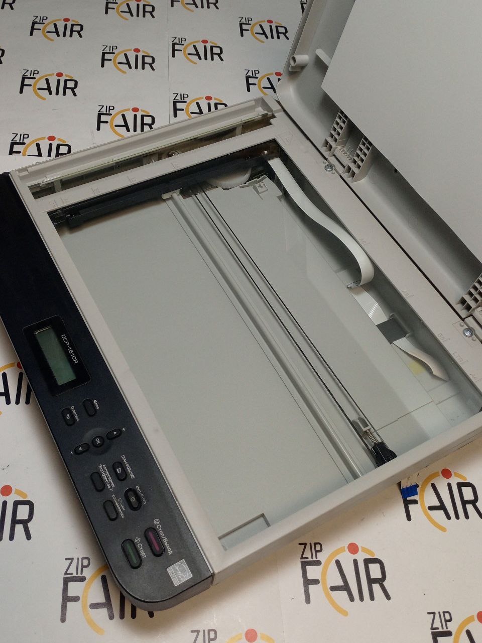 photo_2025-11-19_14-39-04