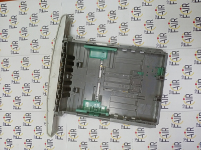 IMG20250310103926