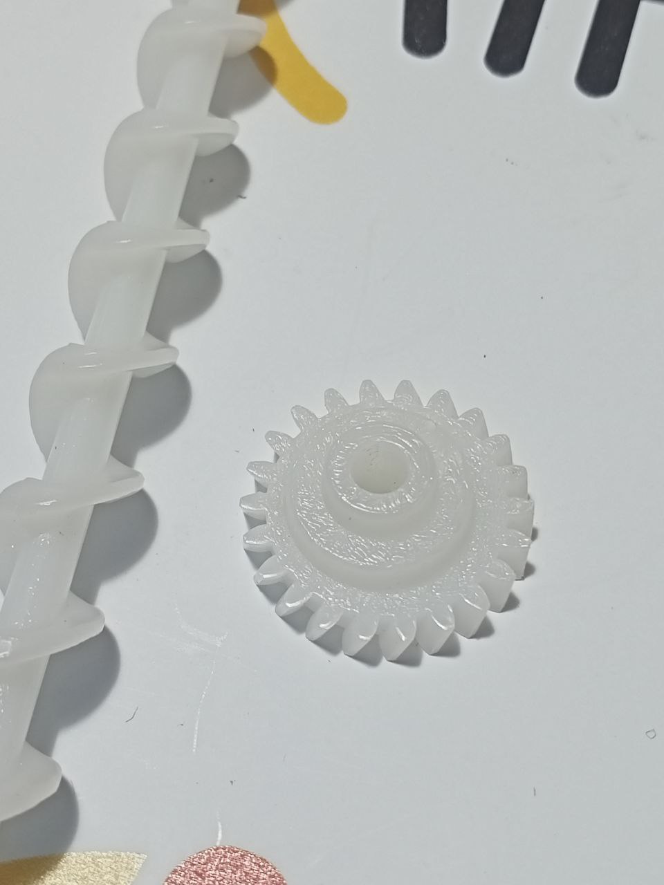 photo_2025-07-28_15-23-40