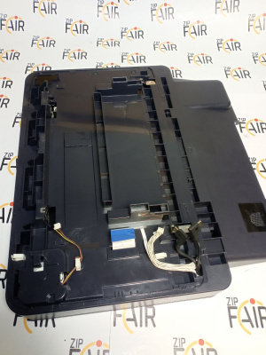 photo_2025-11-24_17-19-56